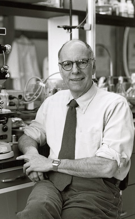 Bonner, John Tyler, 1920-2019