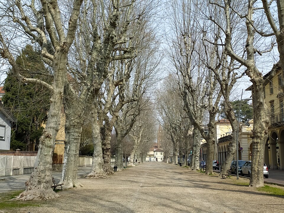 Cirié